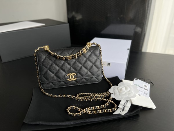  Handbag  Chanel AP3019  size  19 cm 