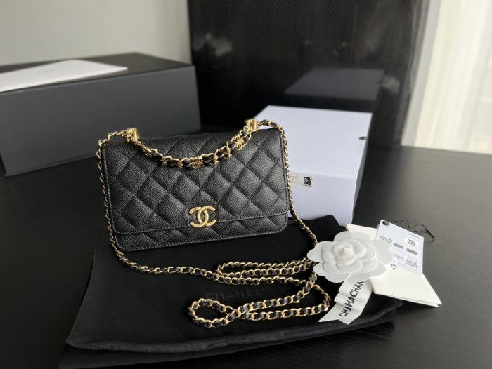  Handbag  Chanel AP3019  size  19 cm 