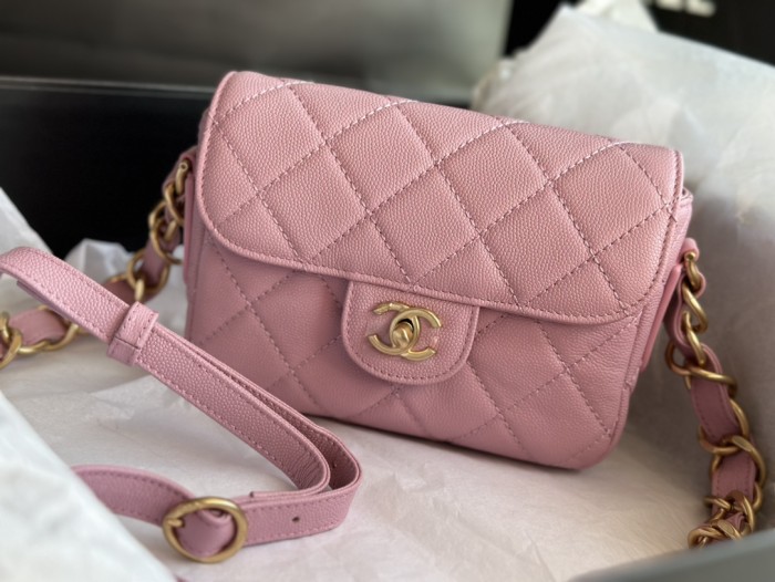 Handbag Chanel  AS3181 size  14 X20 X6  cm