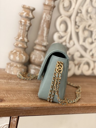 Handbag  Chanel AS3777  size 16x24x8 cm