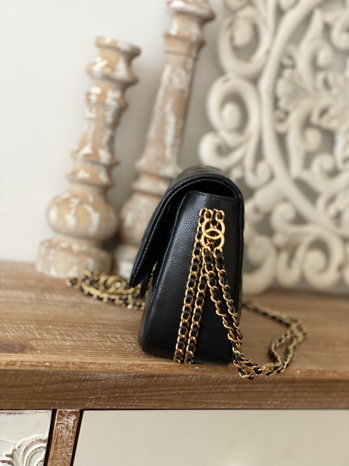 Handbag  Chanel  AS3777  size  16x24x8 cm