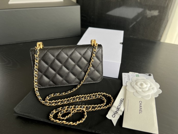  Handbag  Chanel 3021  size  17cm9cm3 cm