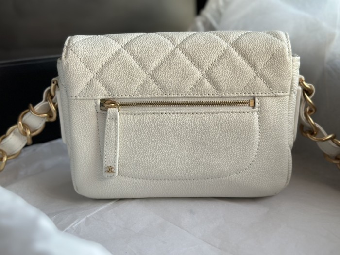 Handbag Chanel  AS3181  size 14 X20 X6  cm