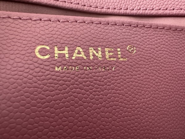 Handbag Chanel  AS3181 size  14 X20 X6  cm