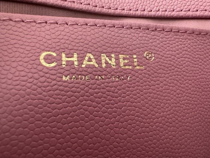 Handbag Chanel  AS3181 size  14 X20 X6  cm