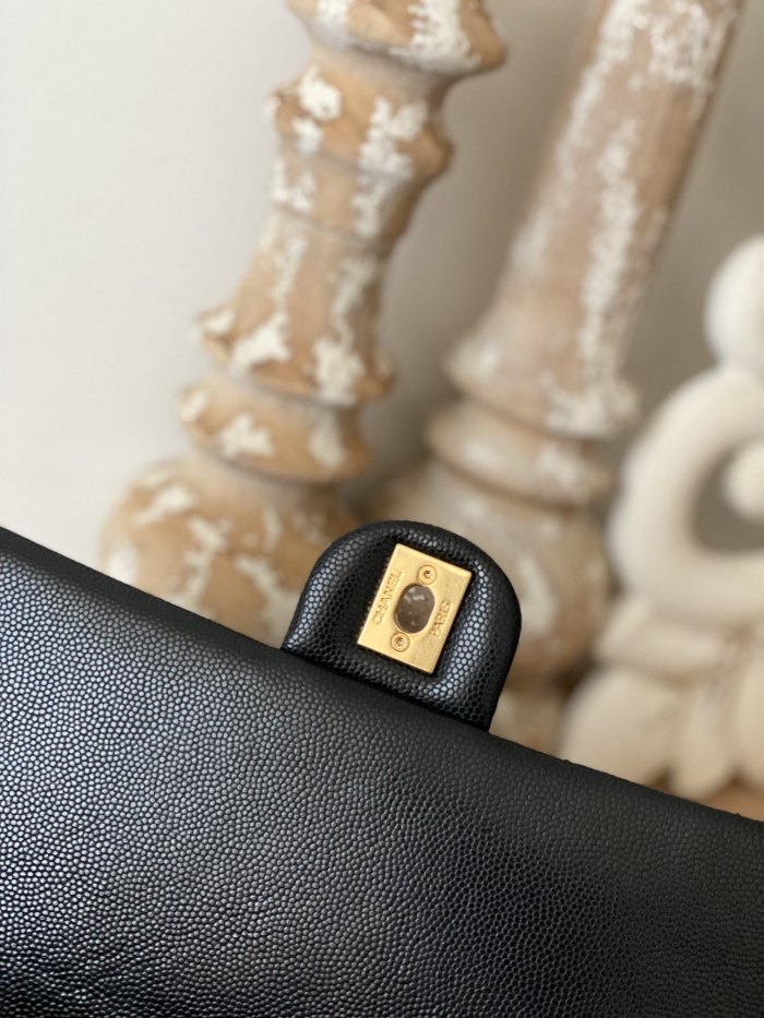 Handbag  Chanel  AS3777  size  16x24x8 cm