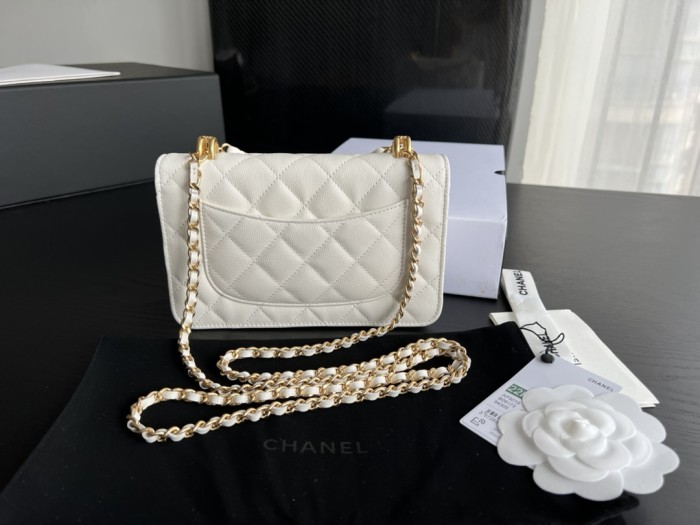  Handbag  Chanel 3019  size  19  cm