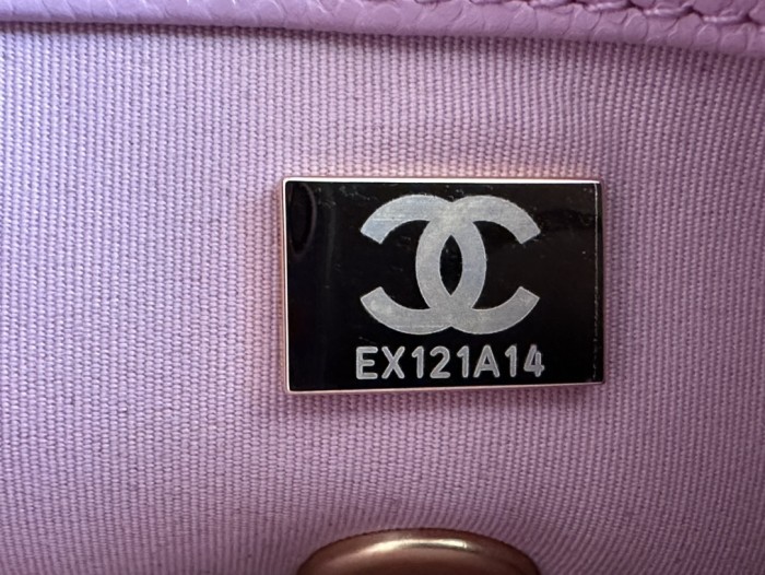 Handbag Chanel  AS3181 size  14 X20 X6  cm