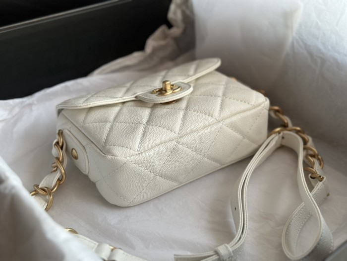 Handbag Chanel  AS3181  size 14 X20 X6  cm