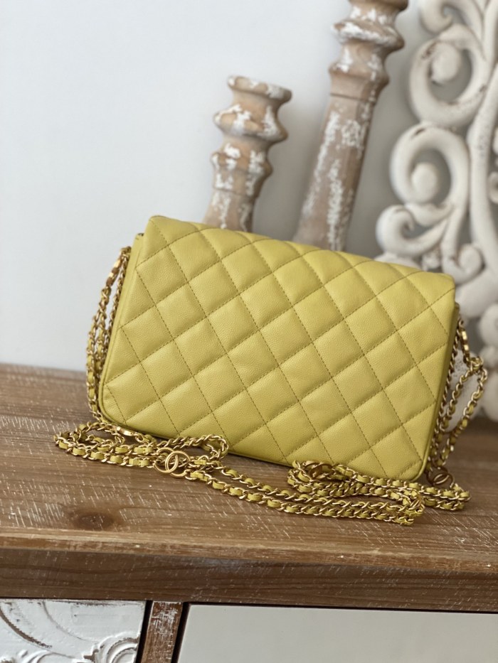 Handbag  Chanel  AS3777 size  16x24x8 cm