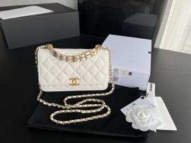  Handbag  Chanel 3019  size  19  cm