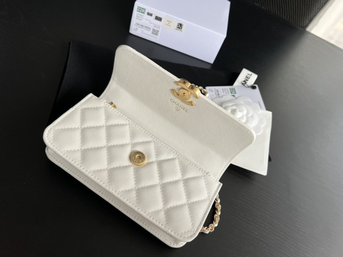 Handbag  Chanel  3021  size 17cm9cm3 cm