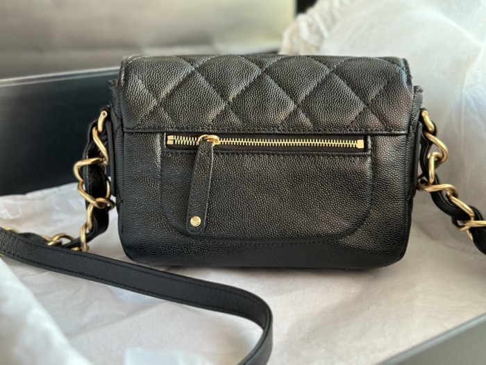 Handbag Chanel  AS3181  size  14 X20 X6  cm