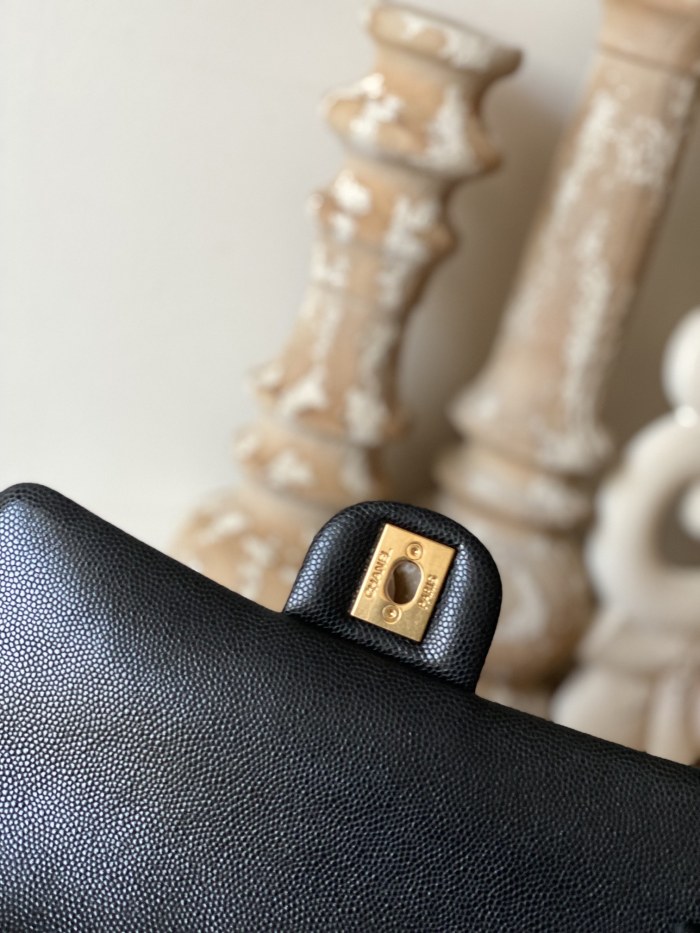 Handbag  Chanel  AS3757  size  14.5x20x6.5 cm