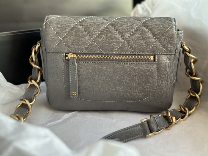 Handbag Chanel AS3181  size  14 X20 X6  cm