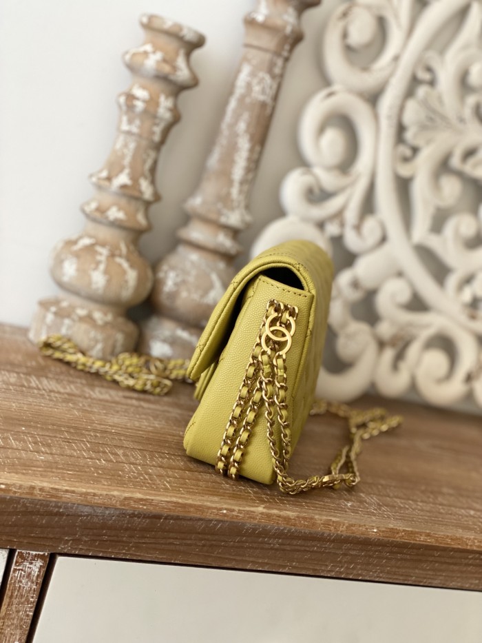 Handbag  Chanel  AS3757  size 14.5x20x6.5 cm