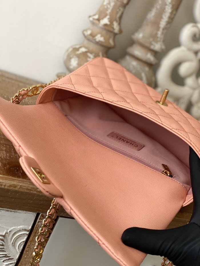 Handbag  Chanel  AS3777  size  16x24x8 cm