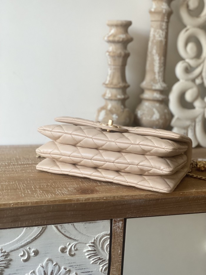 Handbag   Chanel  AS3609  size  16x25x10 cm