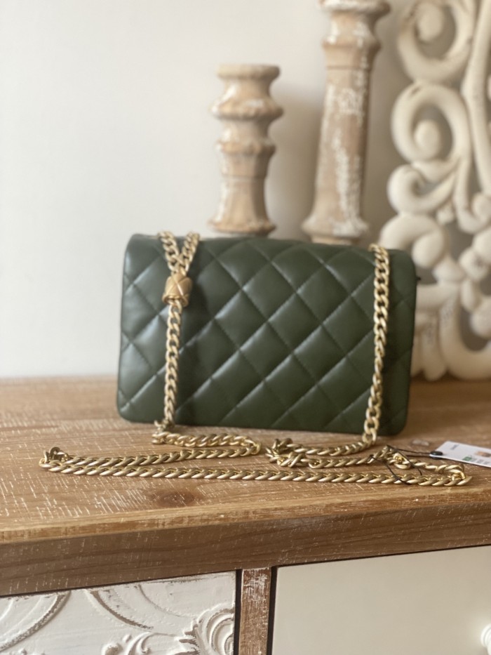 Handbag   Chanel  AS3393  size  14x22x8 cm