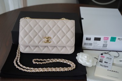Handbag   Chanel  AP84456   size 19 cm