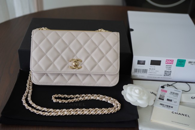 Handbag   Chanel  AP84456   size 19 cm