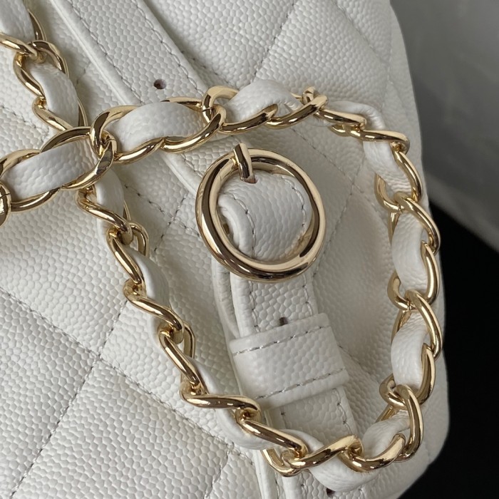 Handbag  Chanel  AS3200  size  25.5x16.5x15.5 cm