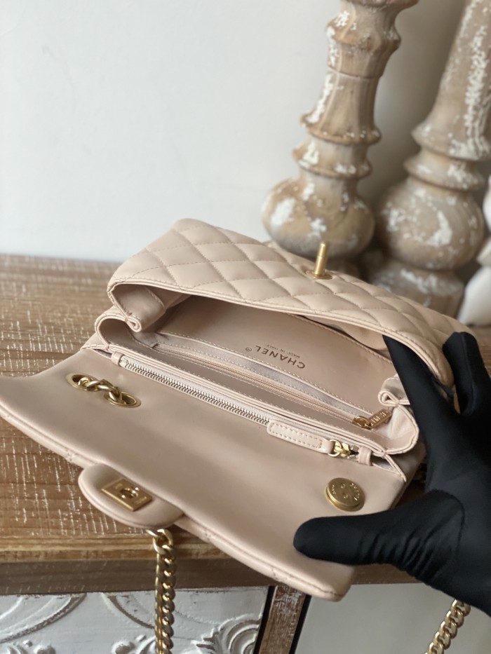 Handbag   Chanel  AS3393  size 14x22x8 cm