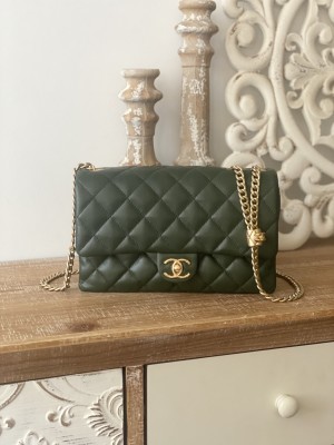 Handbag   Chanel  AS3609  size  16x25x10 cm