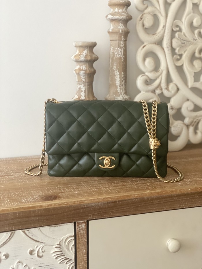 Handbag   Chanel  AS3609  size  16x25x10 cm