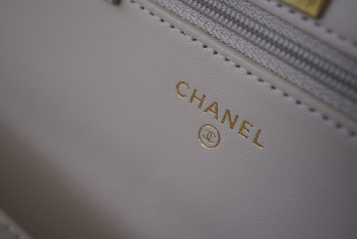 Handbag   Chanel  AP84456   size 19 cm