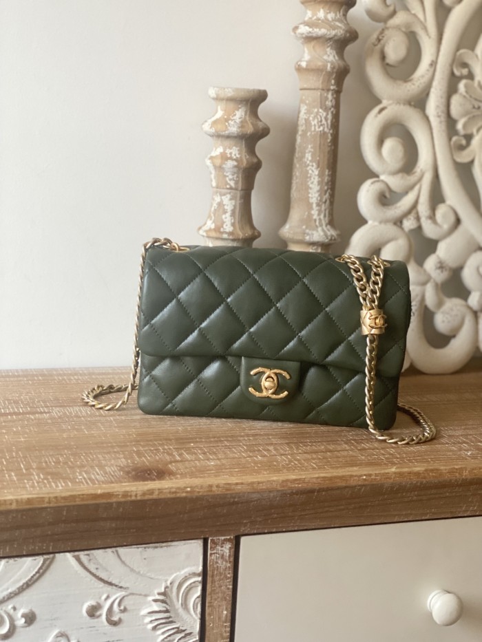 Handbag   Chanel  AS3393  size  14x22x8 cm