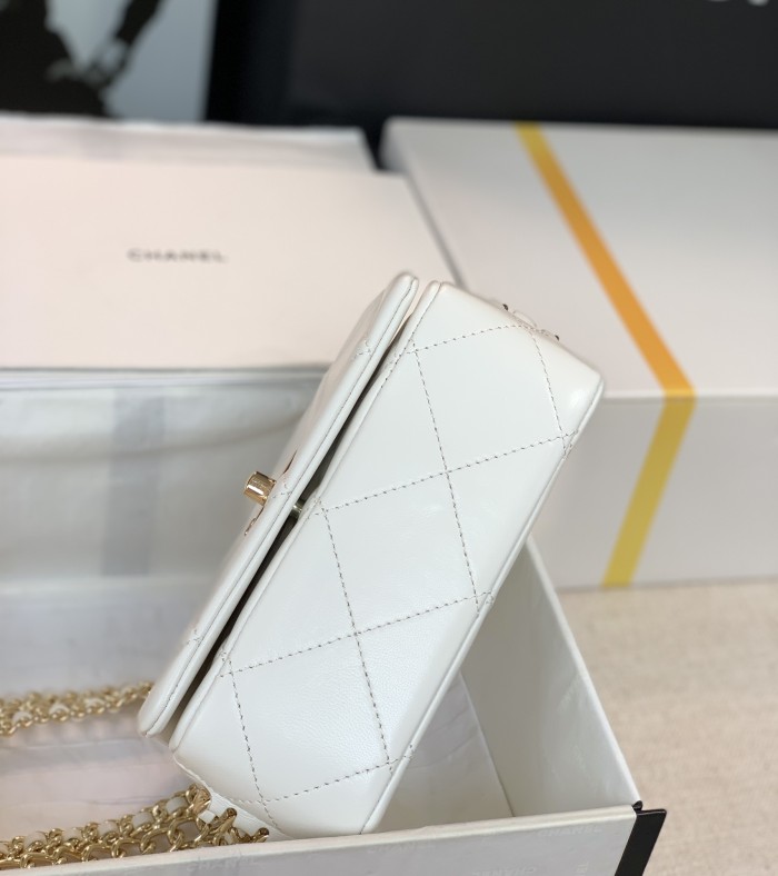 Handbag  Chanel  size  18  cm