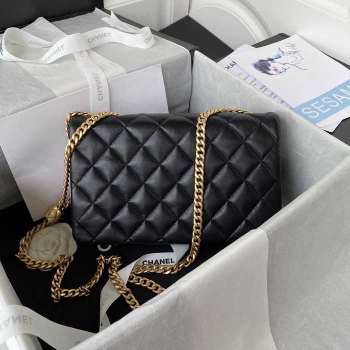 Handbag  Chanel  AS3609  size  16*25*10 cm