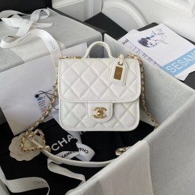 Handbag  Chanel  AS3652  size  17x20.5x6 cm