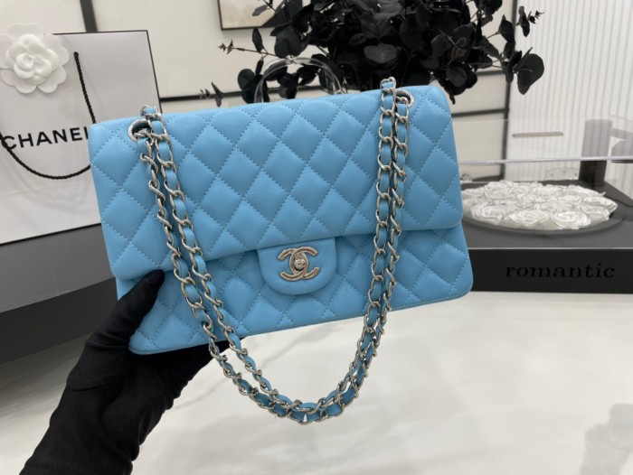 Handbag  Chanel 01112  size  25 cm