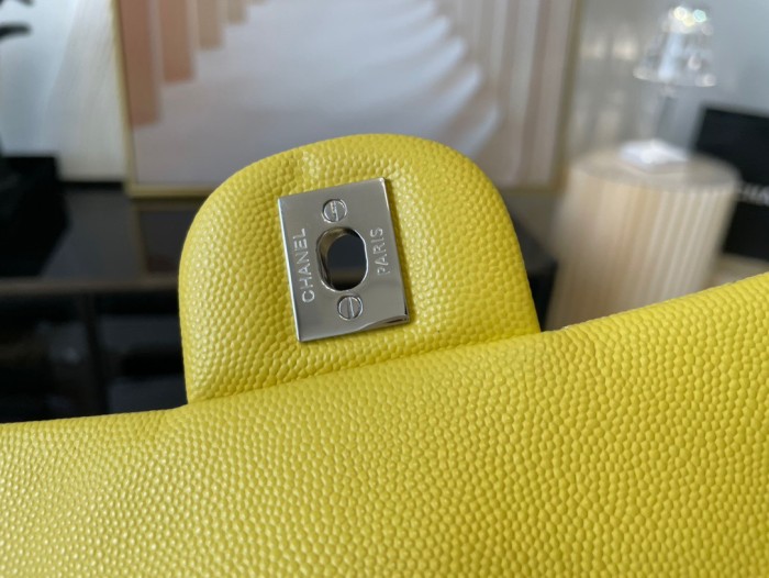 Handbag  Chanel  01116  size  20 cm