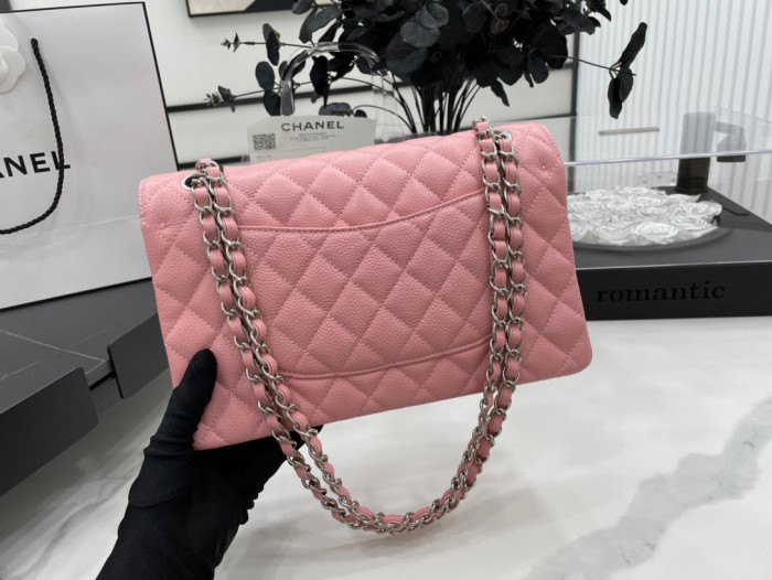 Handbag  Chanel 01112  size  25 cm