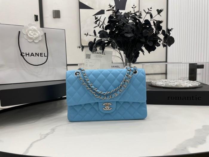 Handbag  Chanel 01112  size  25 cm