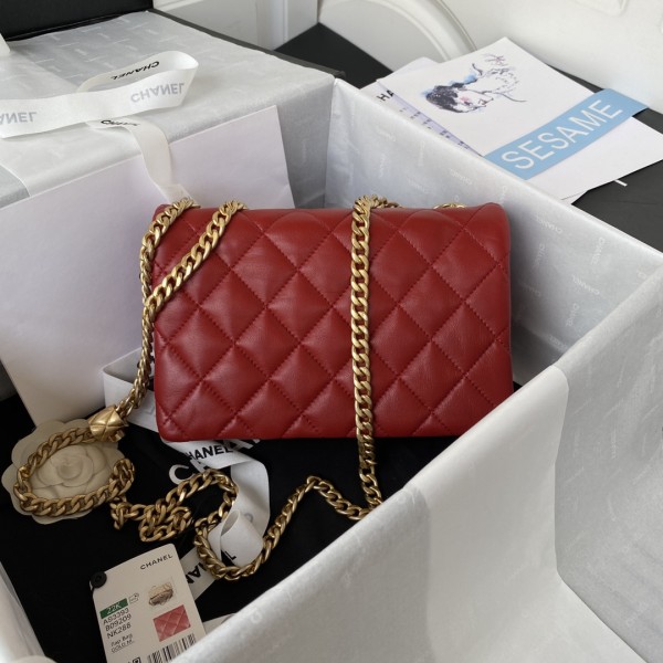 Handbag  Chanel  AS3393  size 14*22*8 cm