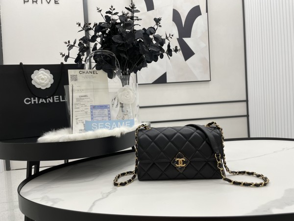 Handbag  Chanel   AS2634 size  22*7*14 cm