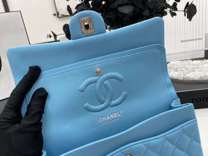 Handbag  Chanel 01112  size  25 cm