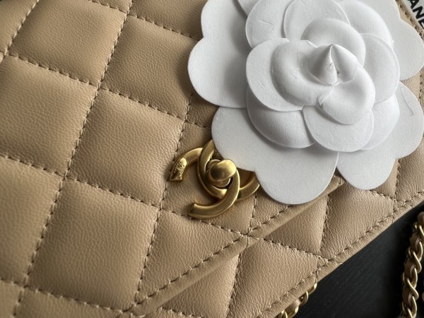 CHANEL WOC Smooth Lambskin Shoulder Bag, Crossbody Bag Trumpets Women's Beige AP1450-B02916-BJ528 size 19*13*4 cm