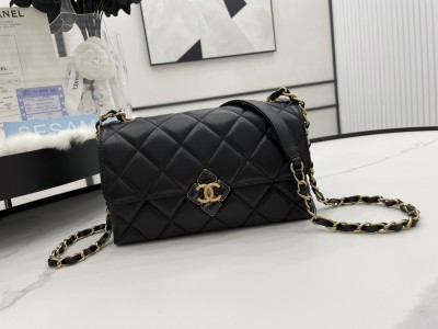Handbag  Chanel   AS2634 size  22*7*14 cm