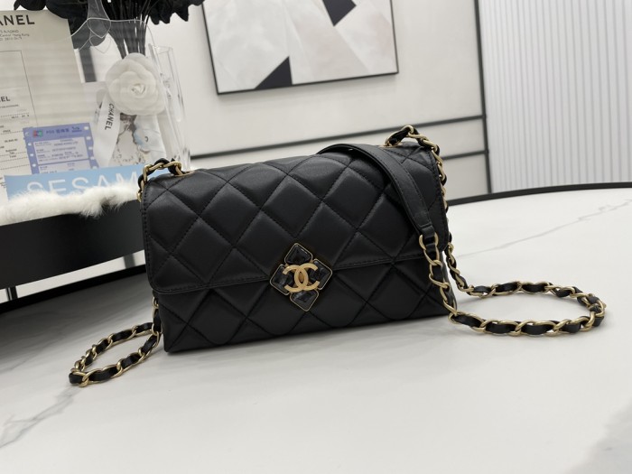 Handbag  Chanel   AS2634 size  22*7*14 cm