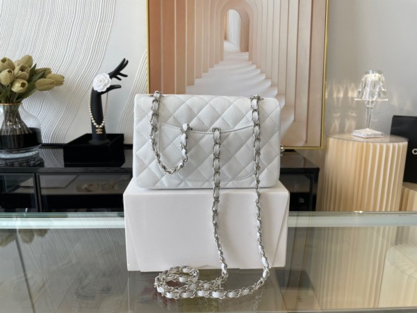 Handbag  Chanel  01116   size  20 cm