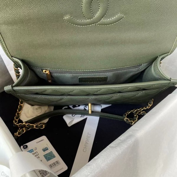 Handbag  Chanel   AS3653  size  25x21.5x7 cm