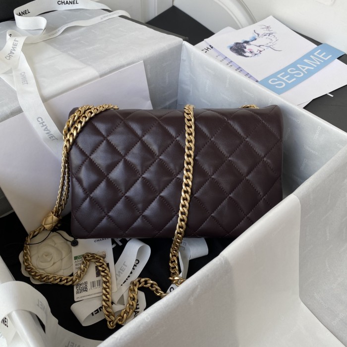 Handbag  Chanel  AS3609  size 16*25*10 cm