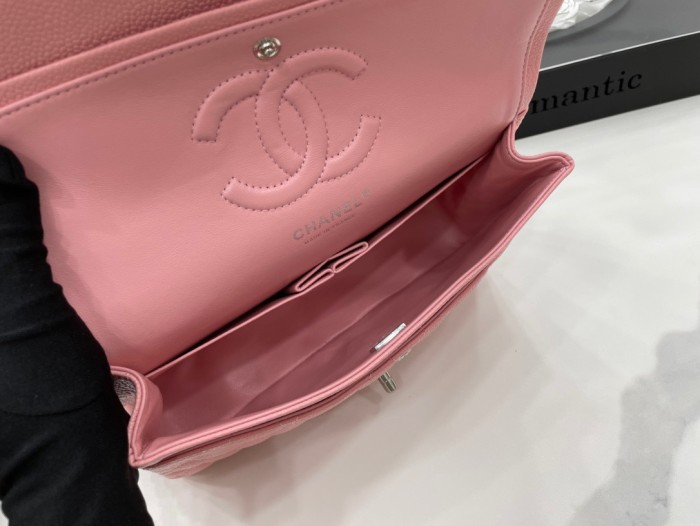 Handbag  Chanel 01112  size  25 cm