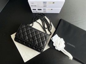  Handbag   Chanel  84456  size  19 cm