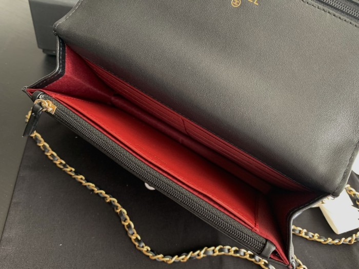 Handbag   Chanel 2289  size  19  cm